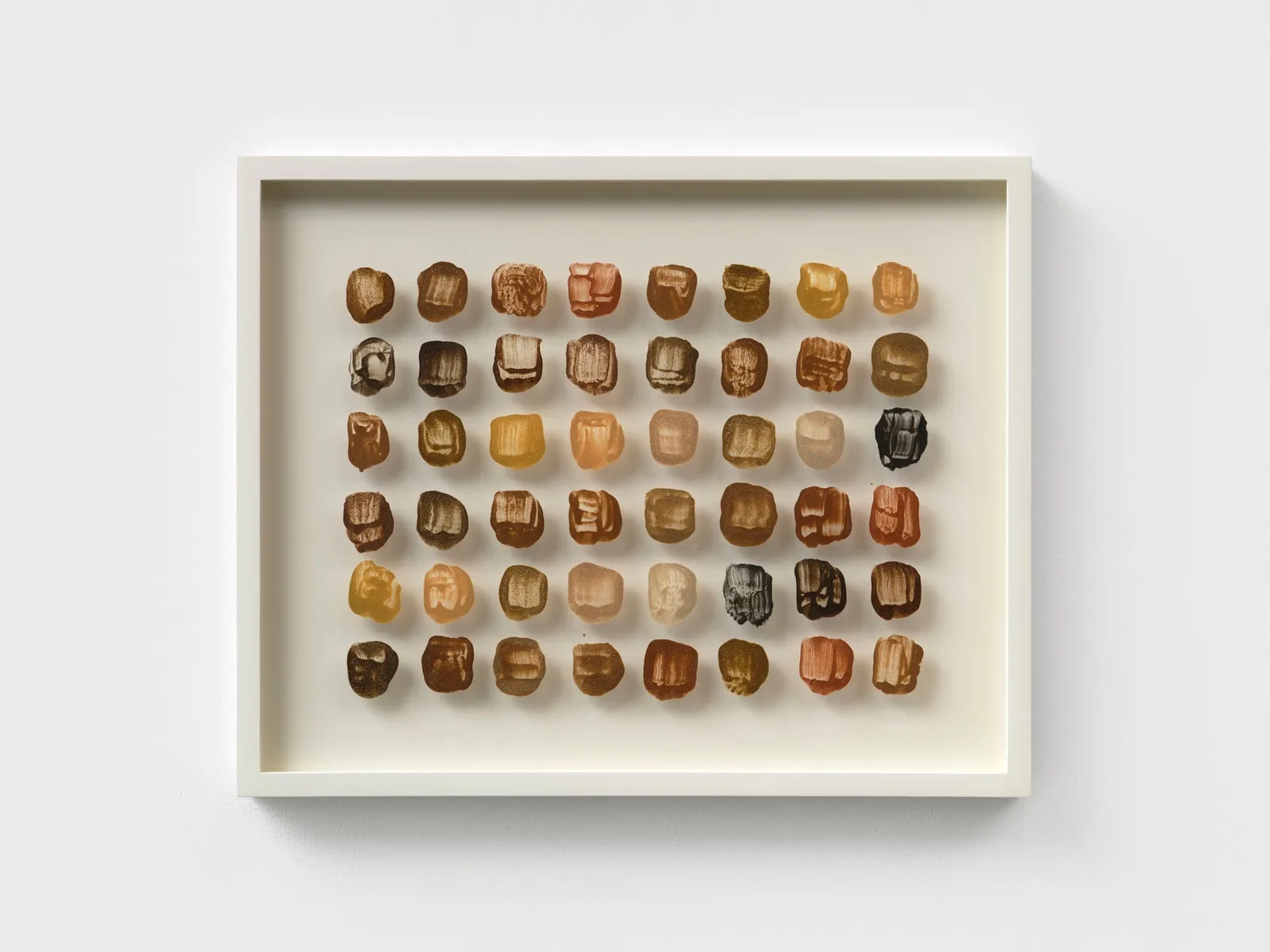 90 MILLION YEARS AND COUNTING 5, 2025