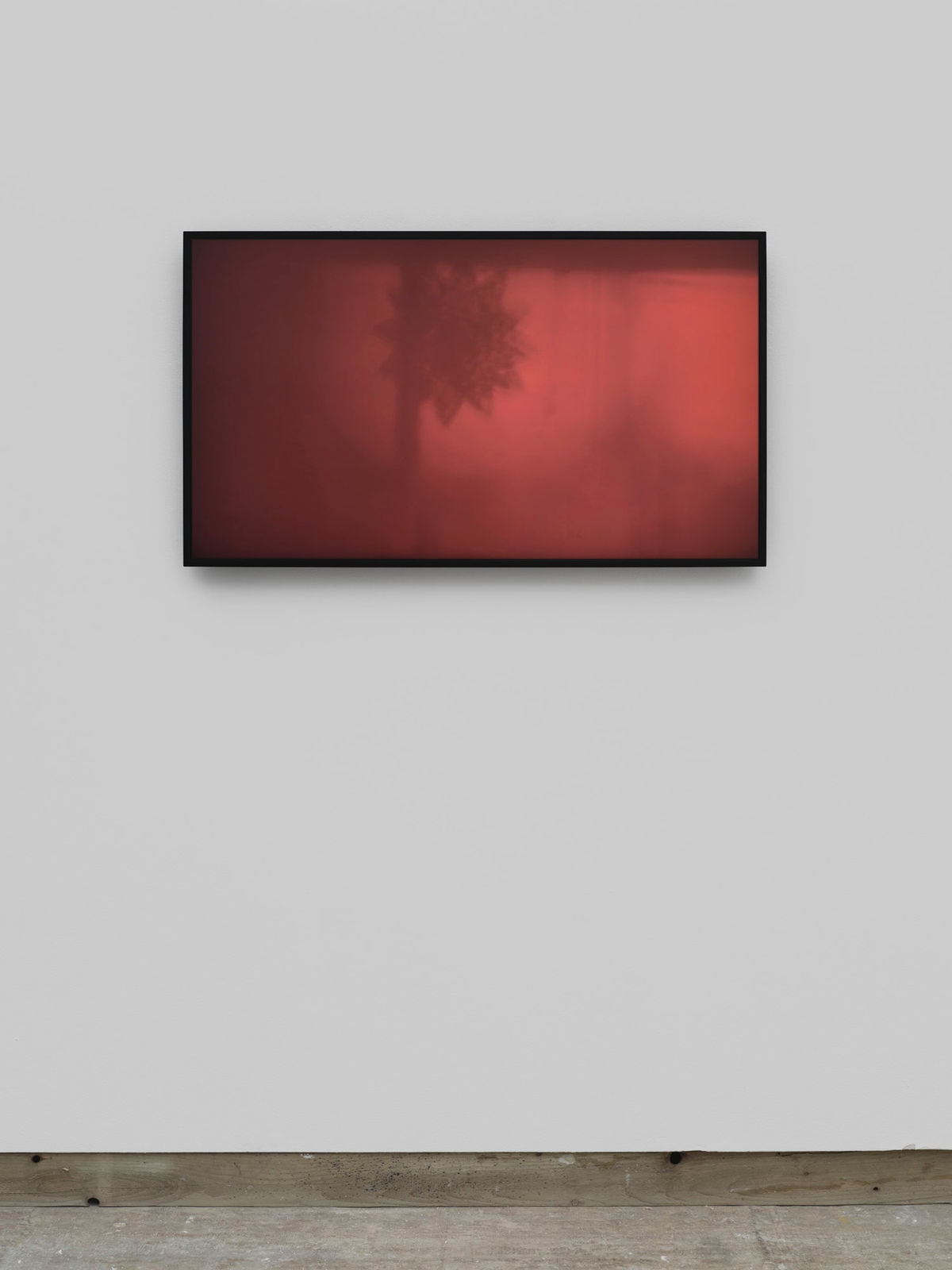 ANNA BARRIBALL, The sun (Rosa's room), 2024