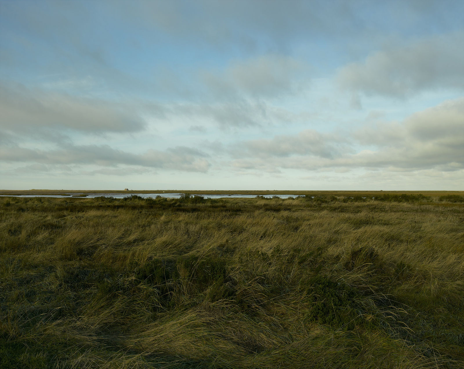 JOHN RIDDY, Blakeney, 2021–22, (Series)