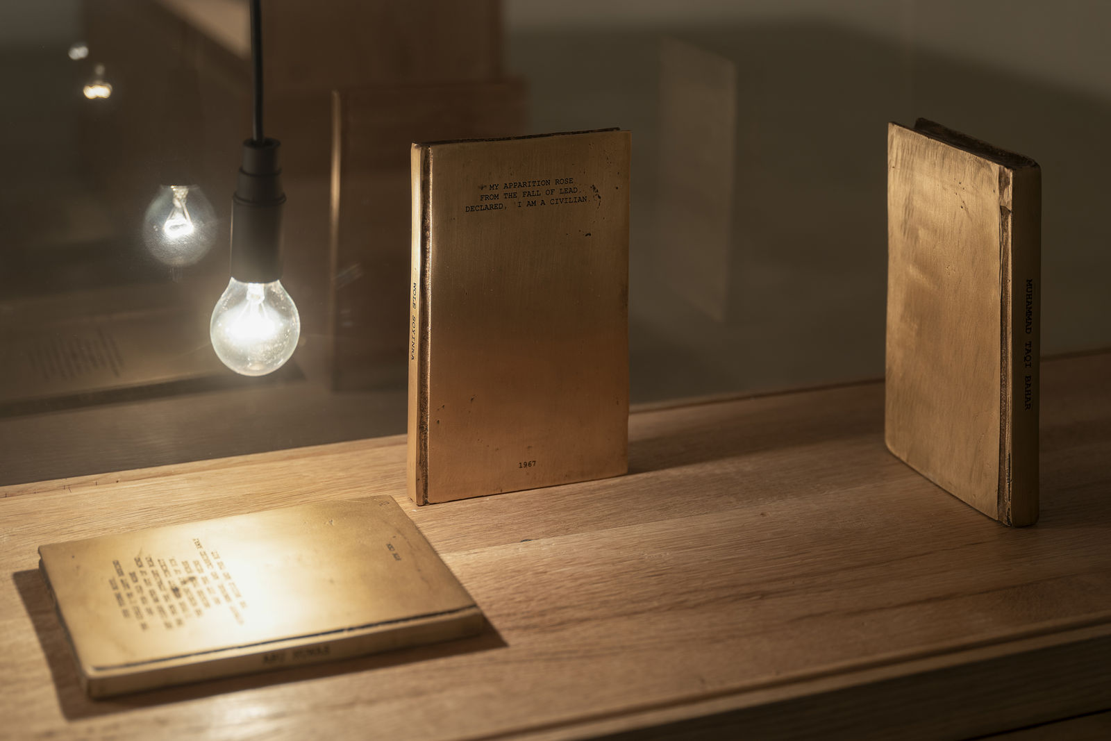 SHILPA GUPTA, I did not tell you what I saw, but only what i dreamt, 2023