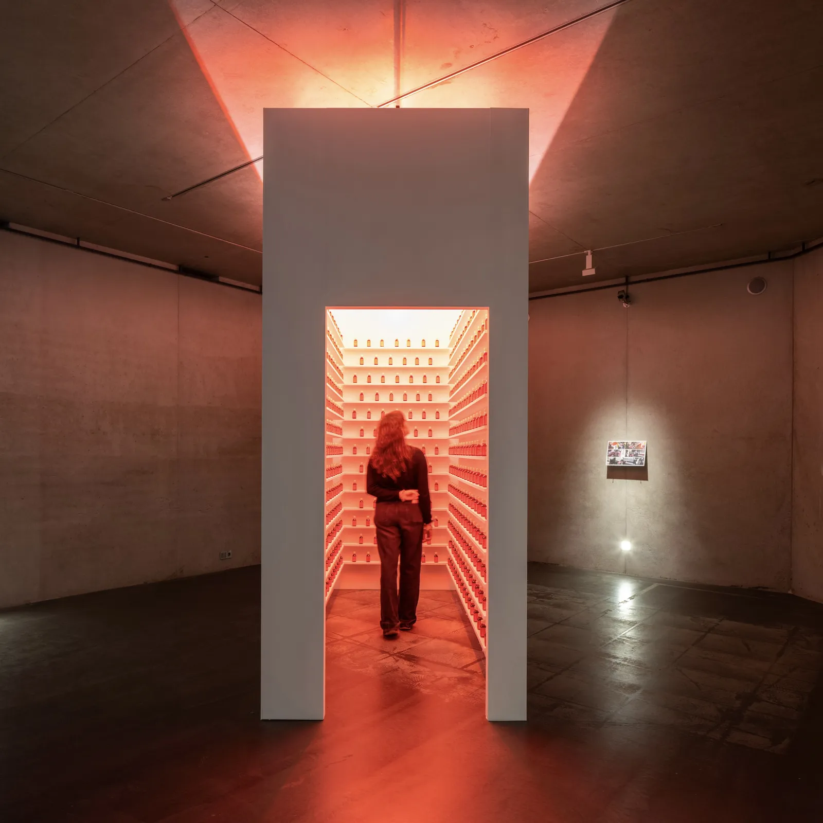 SHILPA GUPTA, we last met in the mirror, 2025