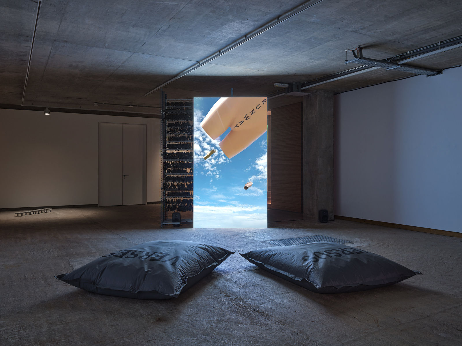 FIONA BANNER AKA THE VANITY PRESS, DISARM (portrait), 2023