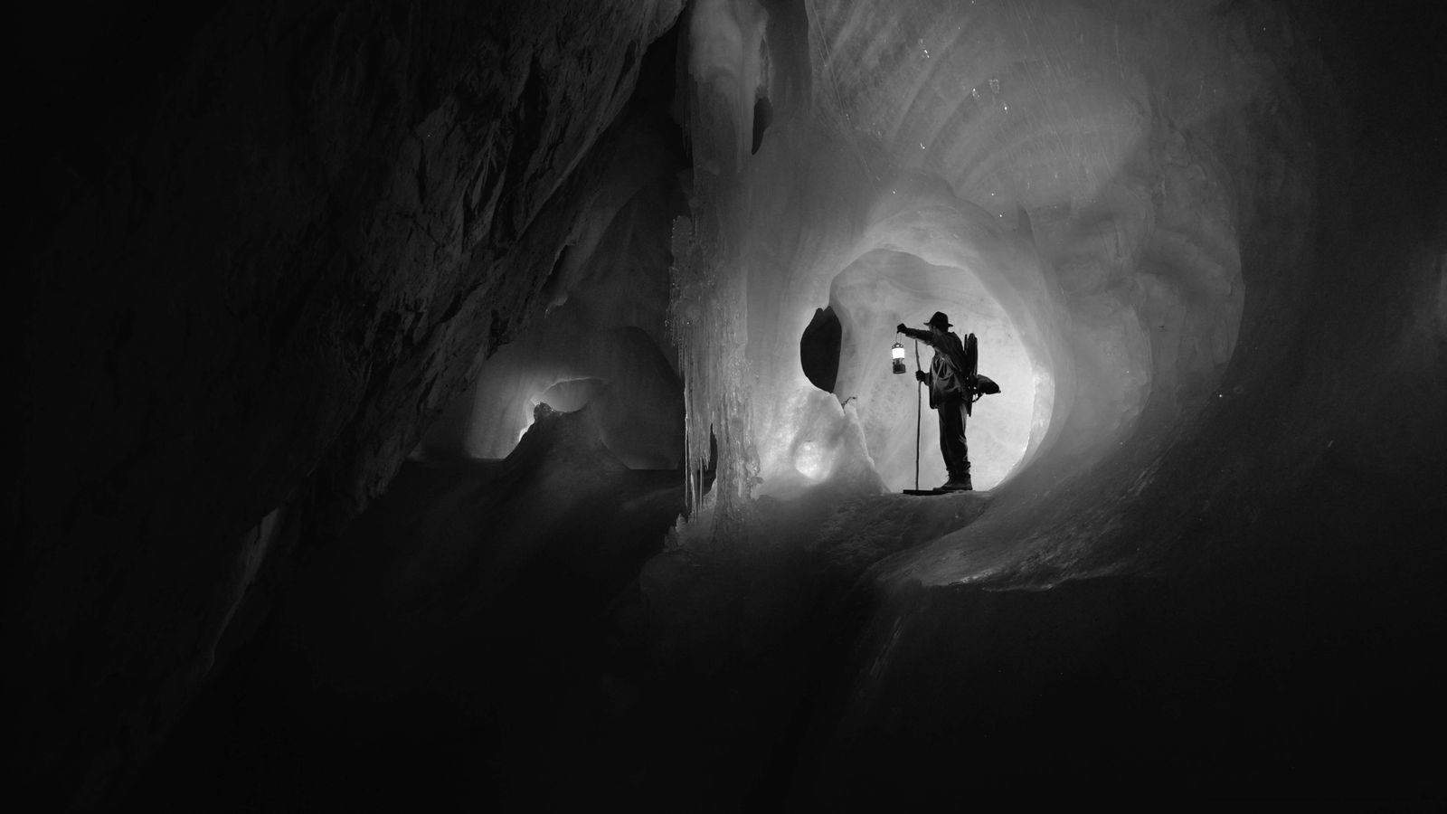 FIONA TAN, Gray Glass, 2020