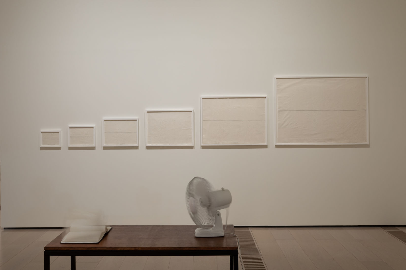 SHILPA GUPTA, I Live Under Your Sky Too, 2024