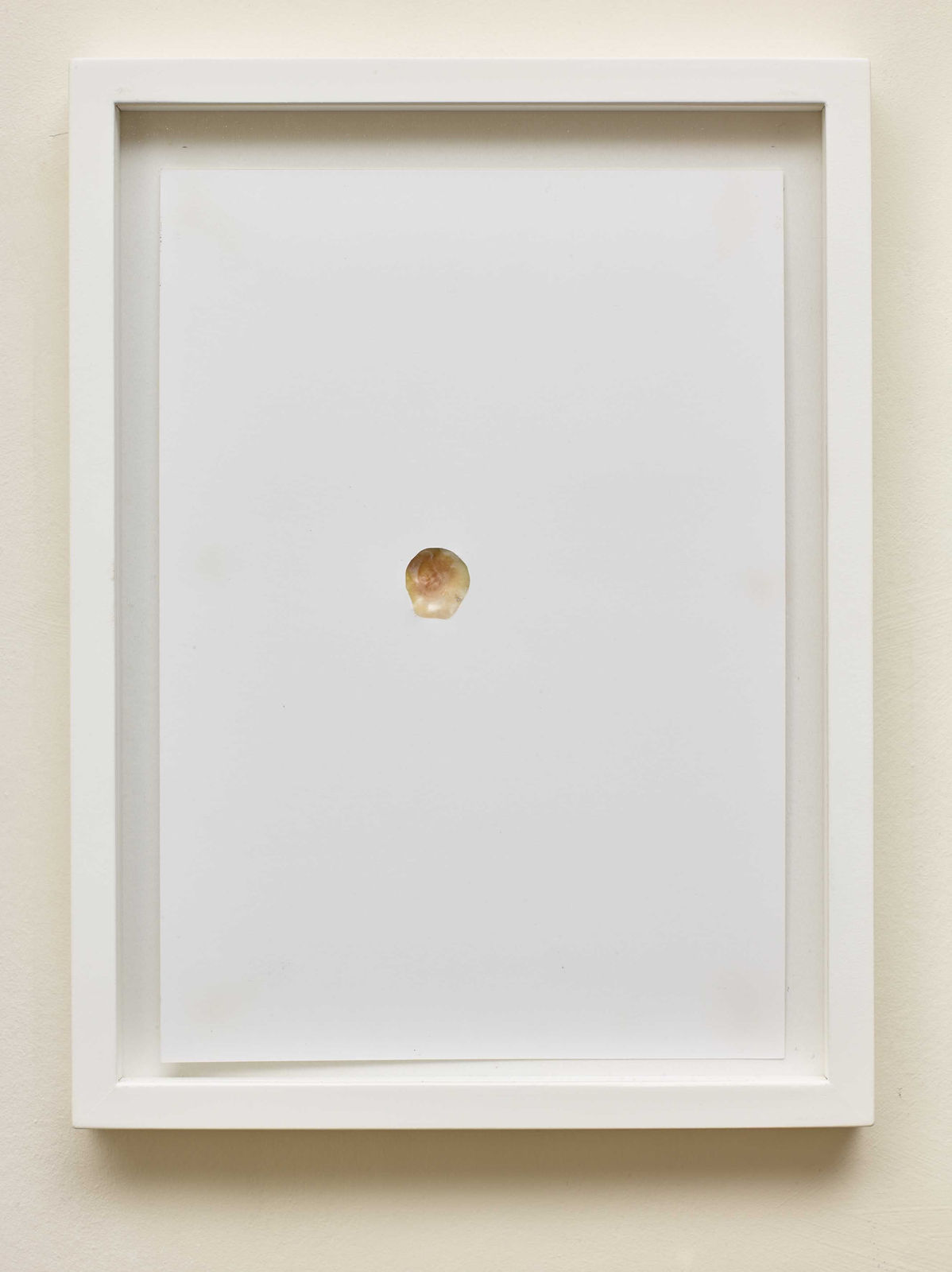 MASSIMO BARTOLINI, Shell, 2013