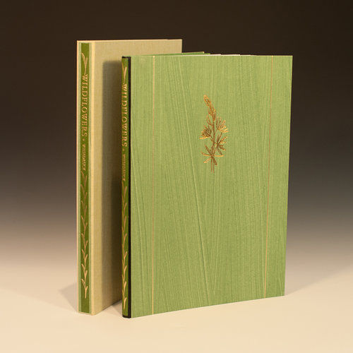 Sarah Horowitz, Wildflowers, 2016