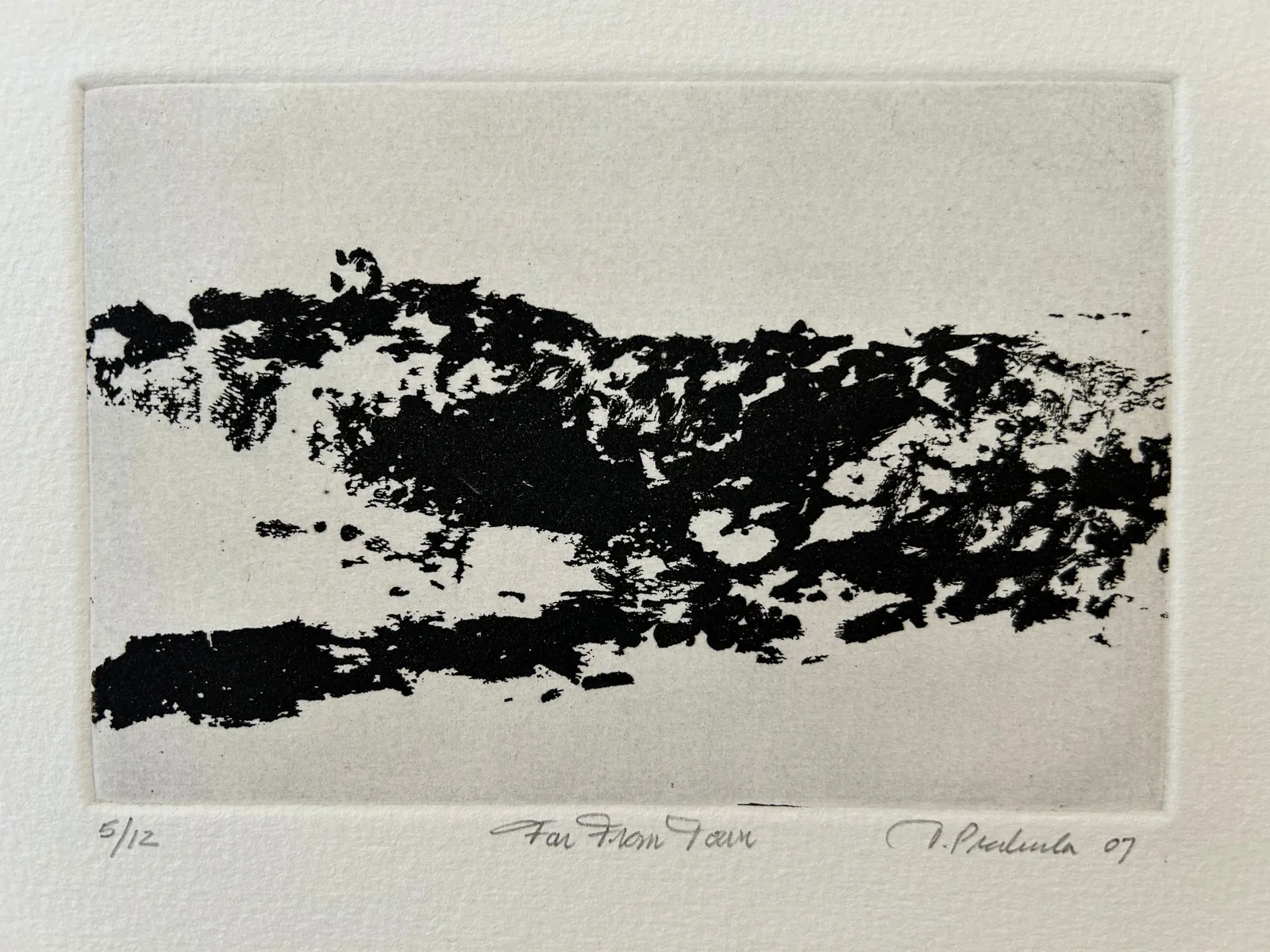 Tom Prochaska, Far From Town, 2007