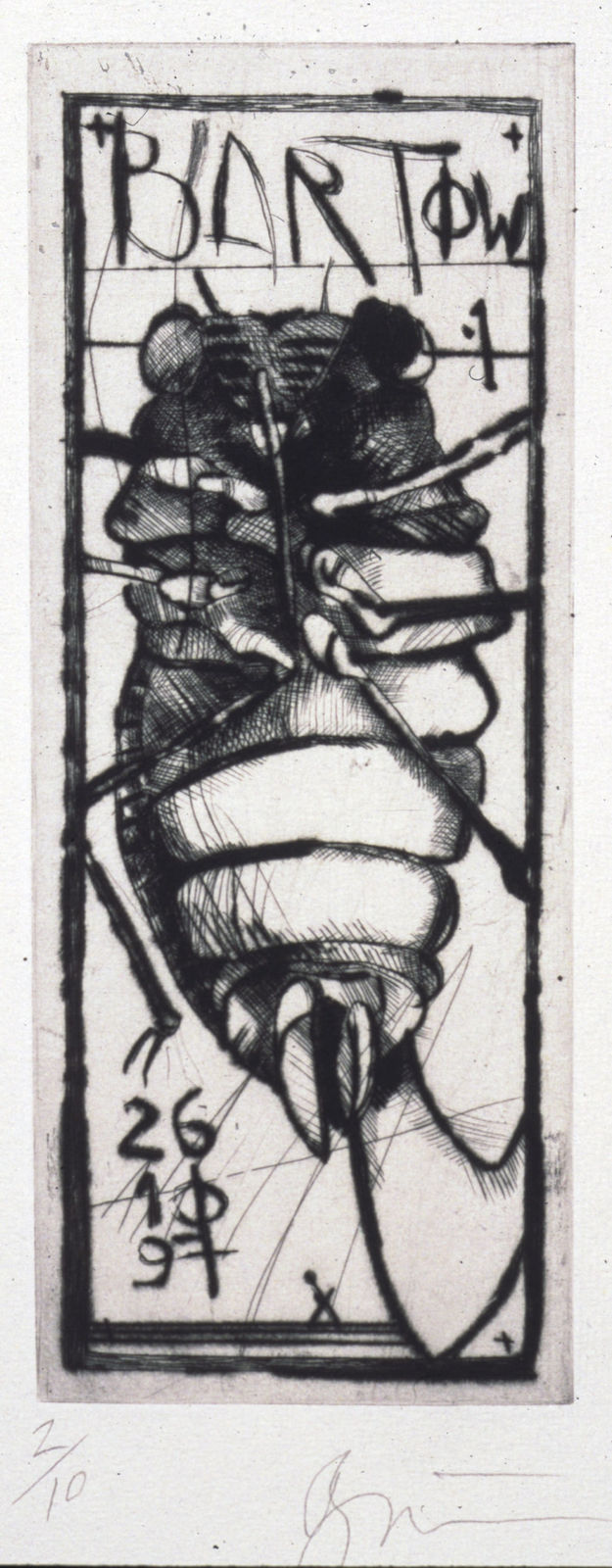 Rick Bartow, Cicada, 1998