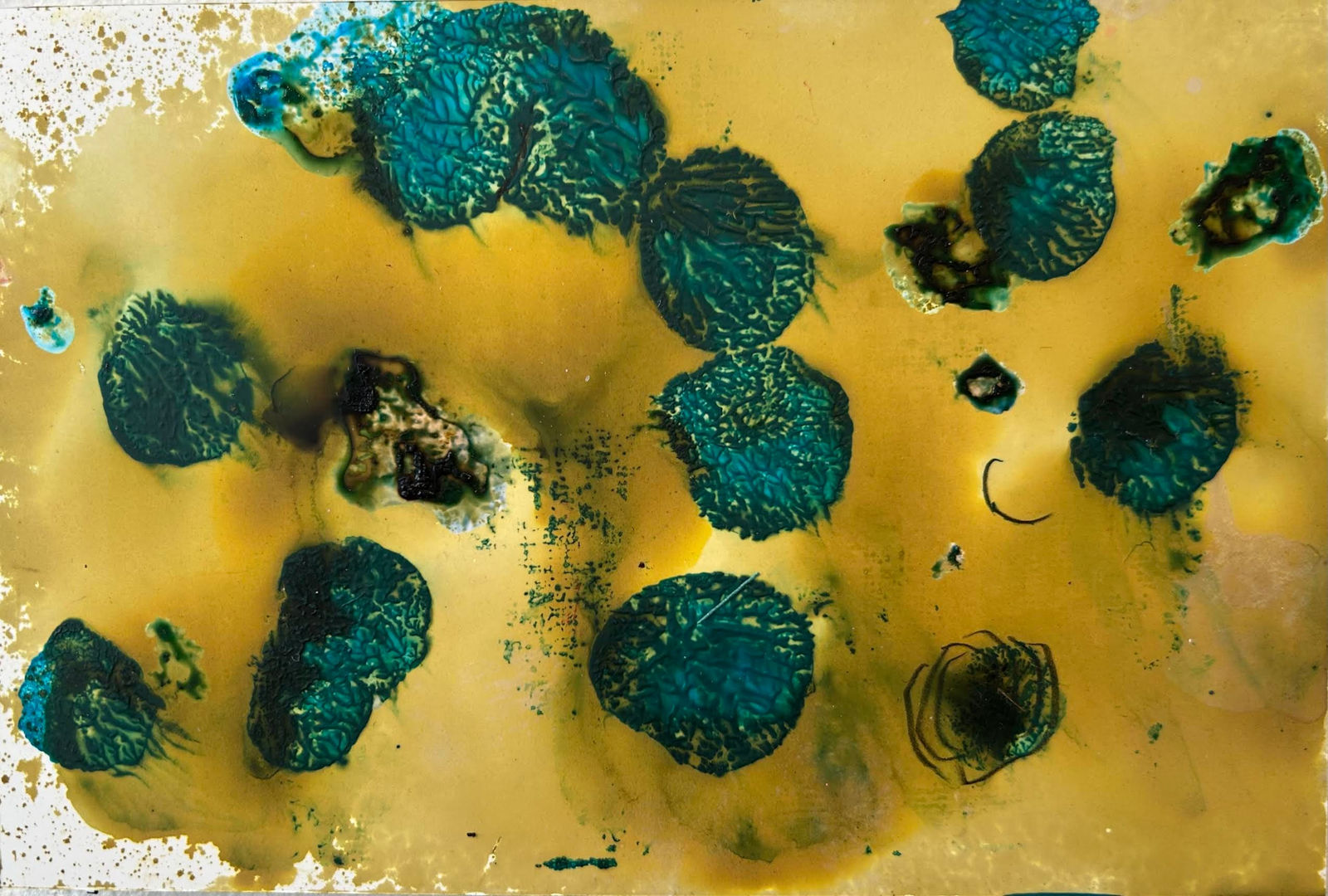 Terrell James, Chapter 17, 2025