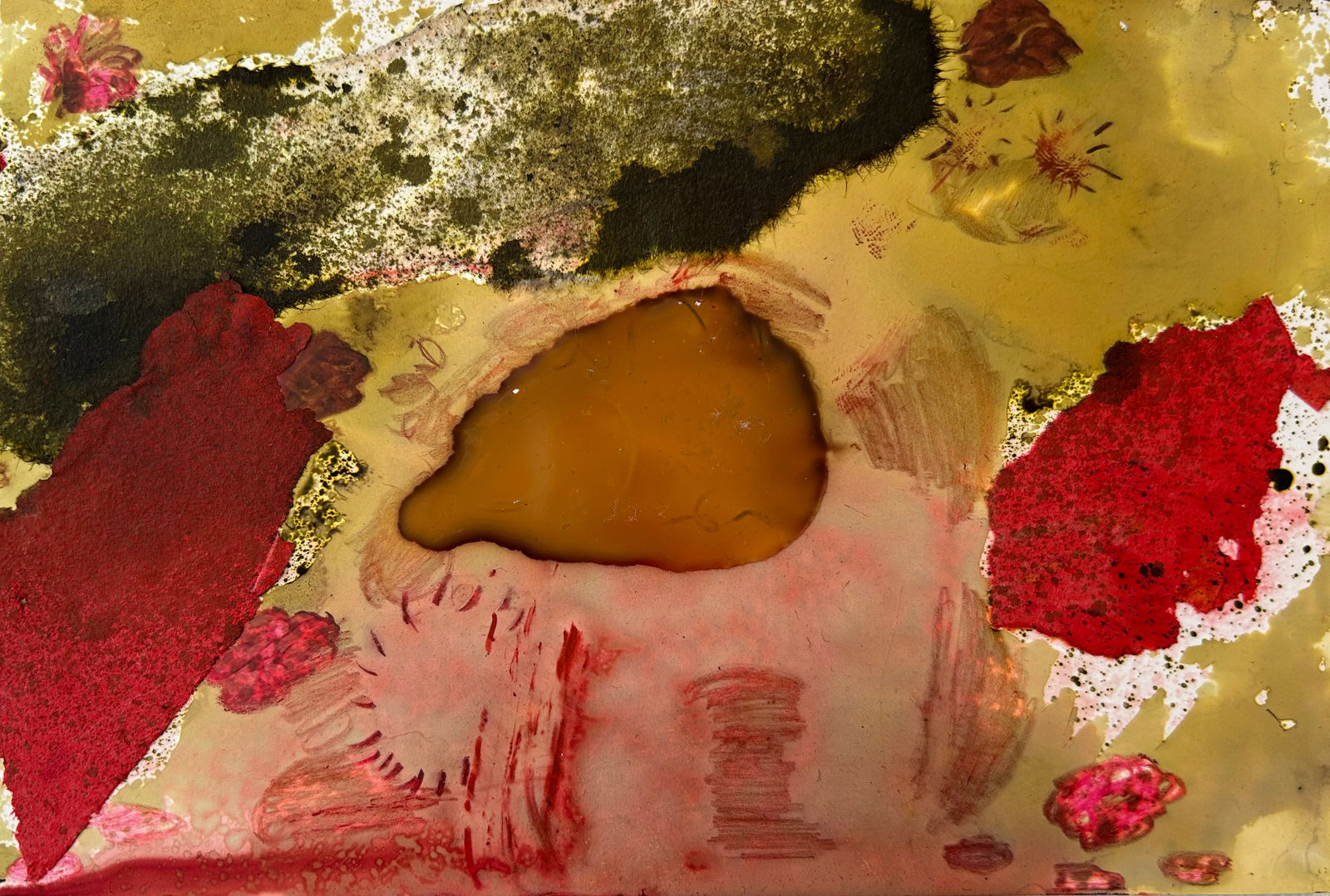 Terrell James, Chapter 11, 2025