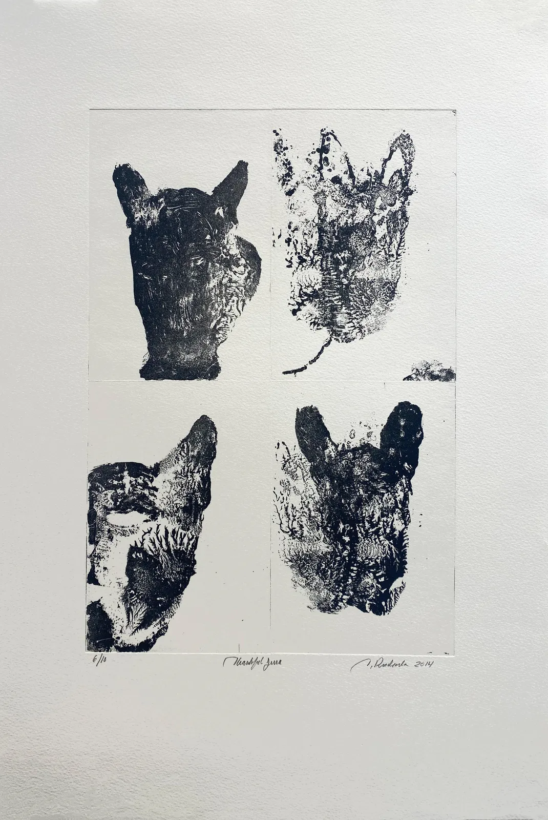 Tom Prochaska, Thankful Juna, 2014