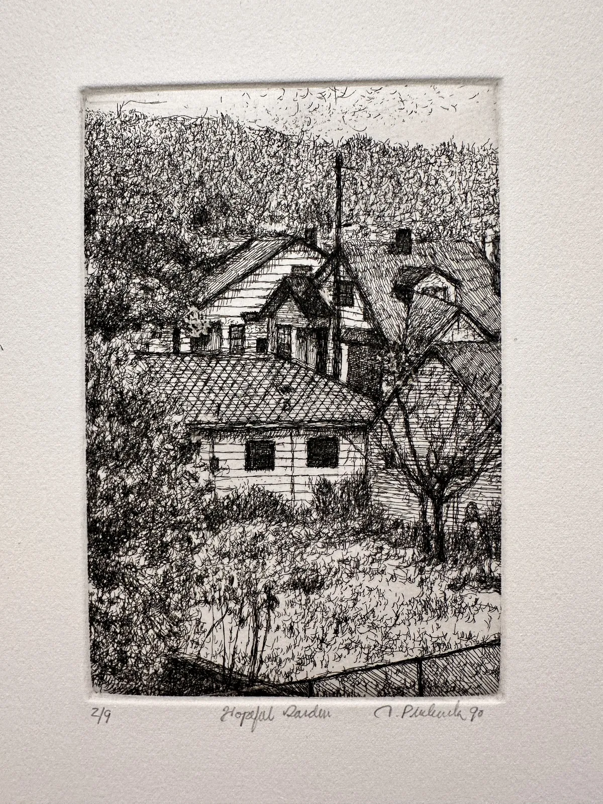 Tom Prochaska, Hopeful Garden , 1990