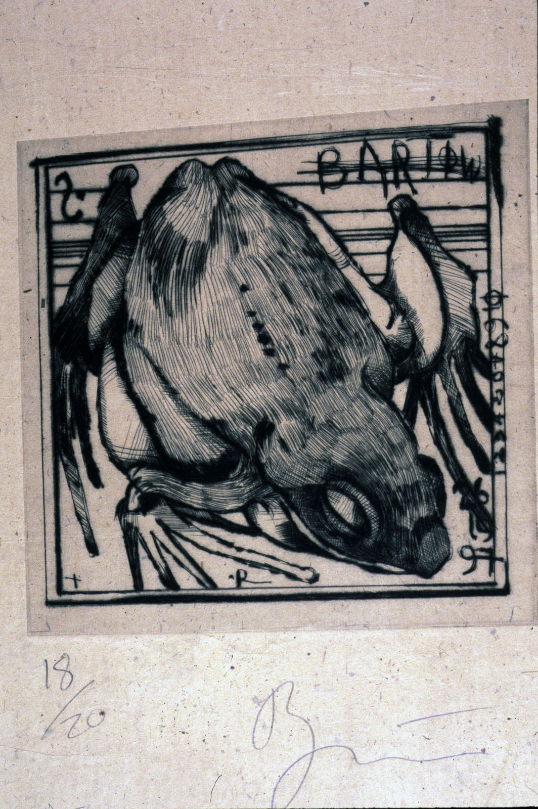 Rick Bartow, Frog, 1998