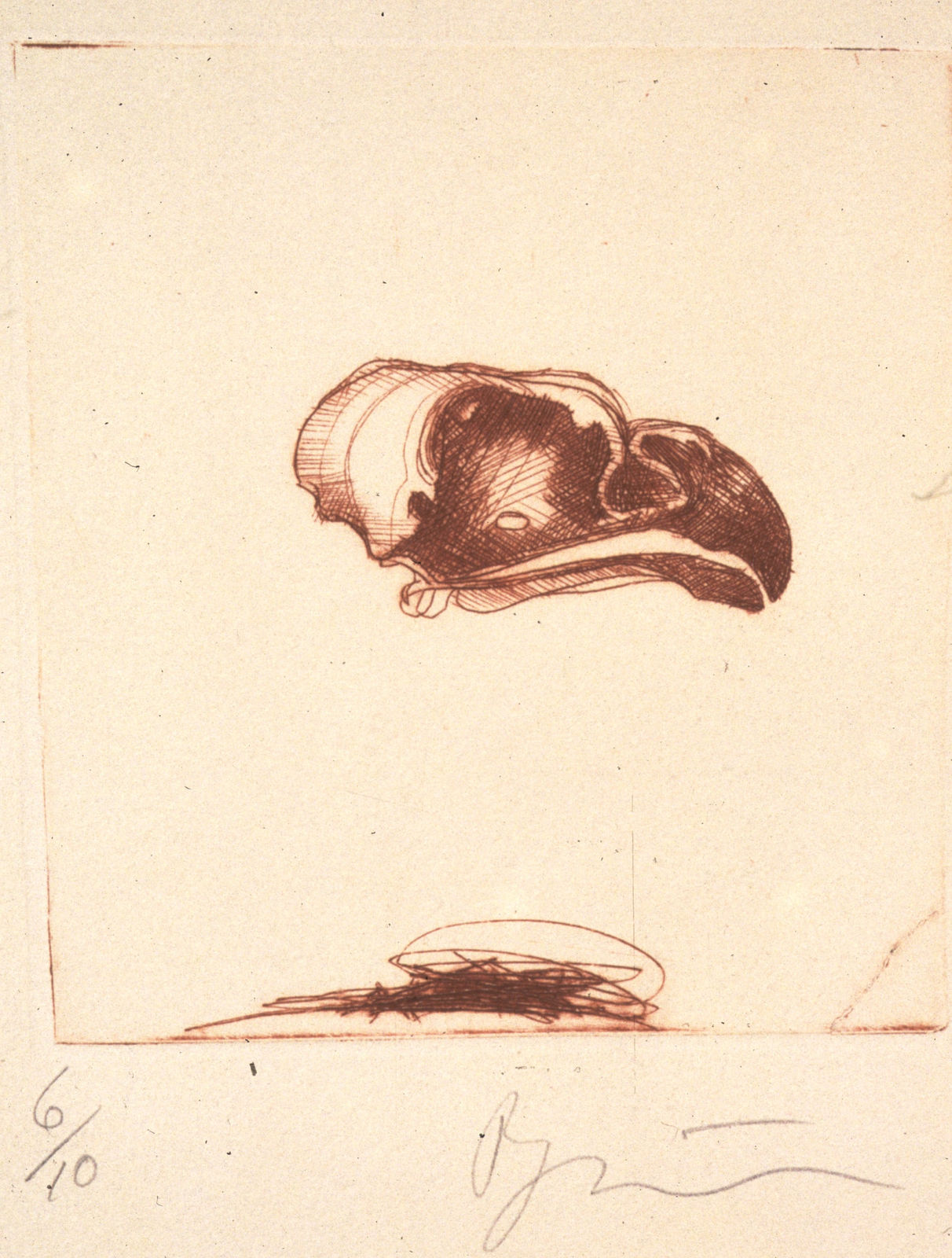 Rick Bartow, Little Eagle, 1998