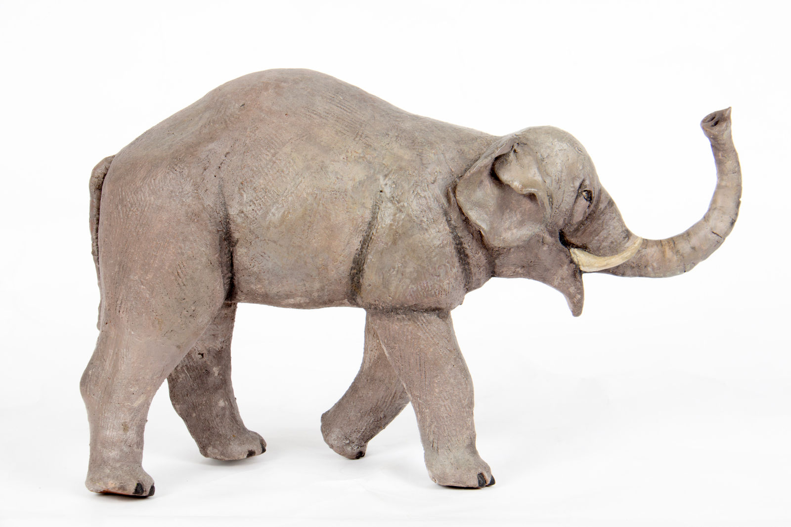 El Arca de Noé, S.XX