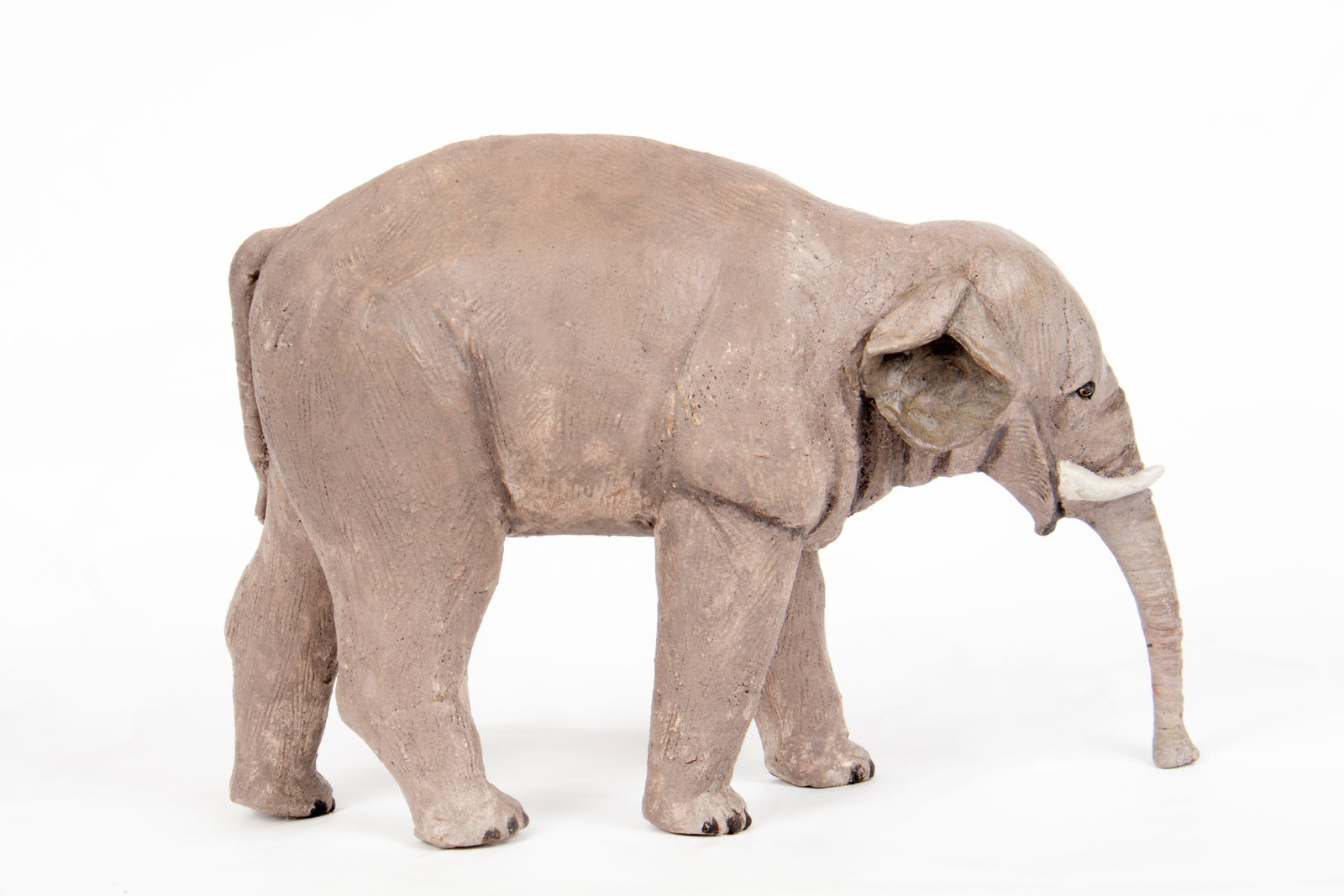 El Arca de Noé, S.XX