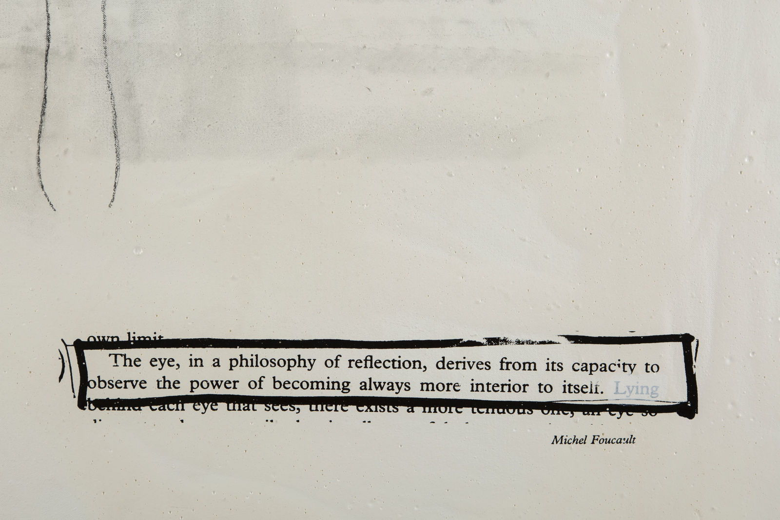 Juliao Sarmento, Dying animals, 2004