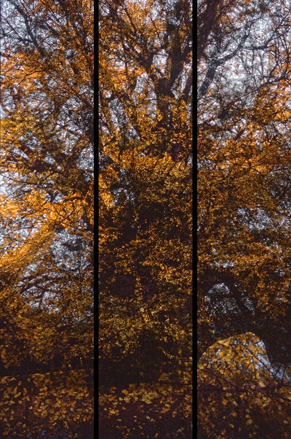 Michael Cherney, Shadow Curtains影幔 #9b, Conception and Design: Spring 2018 – Autumn 2018