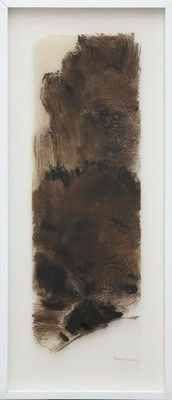 Tang Ke, Landscape on film 胶片山水 03, 2013