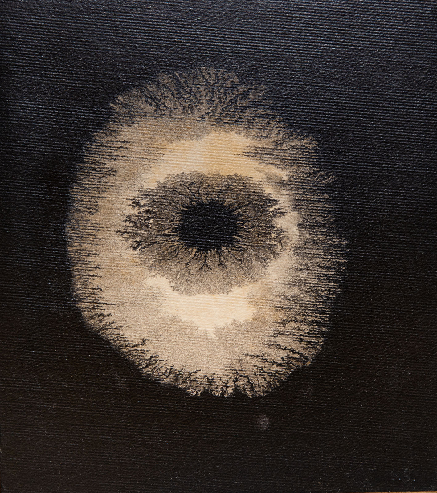 Sal Sirugo, E-214, 1980