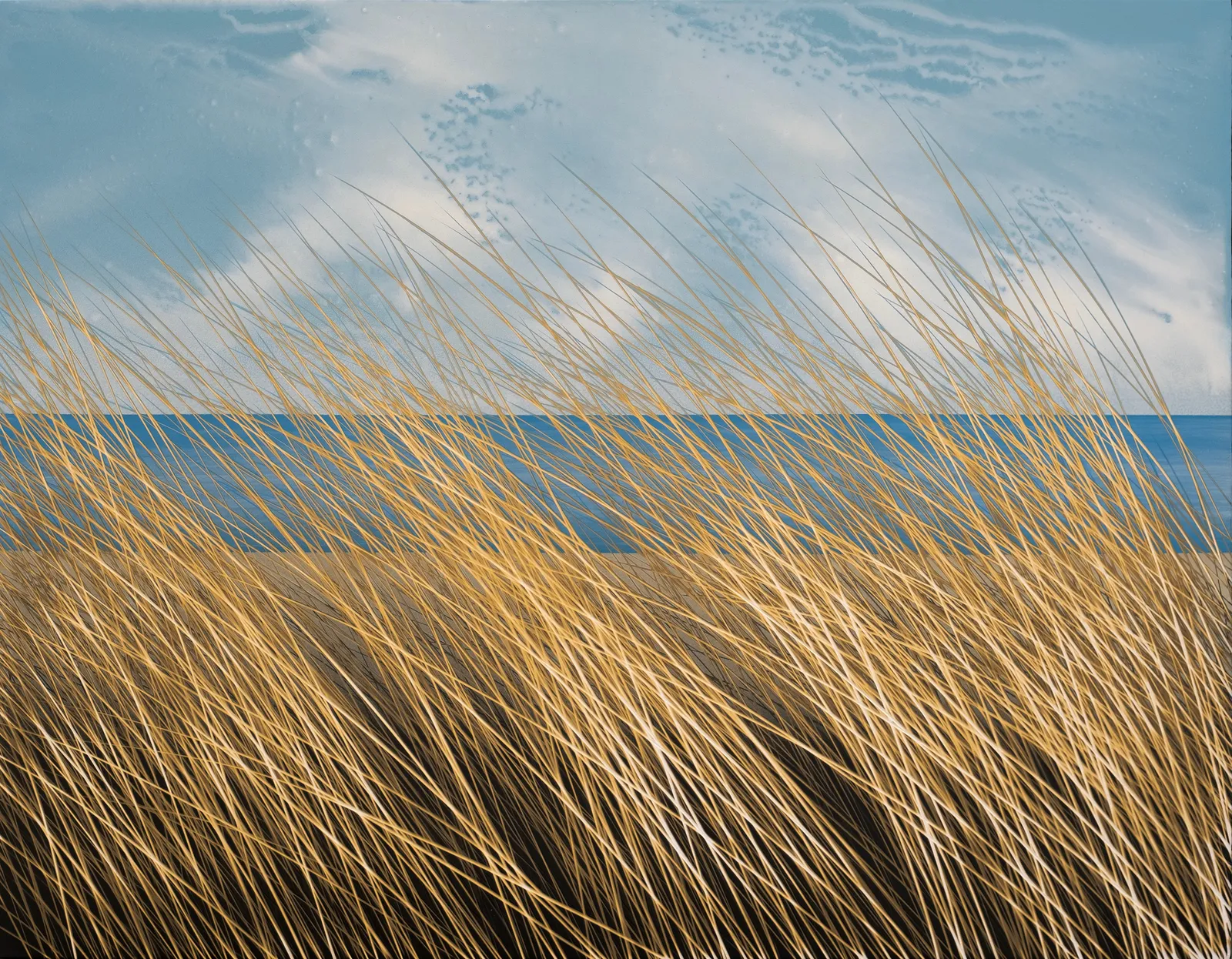 Mesut Karakış, İsimsiz / Untitled, 2024