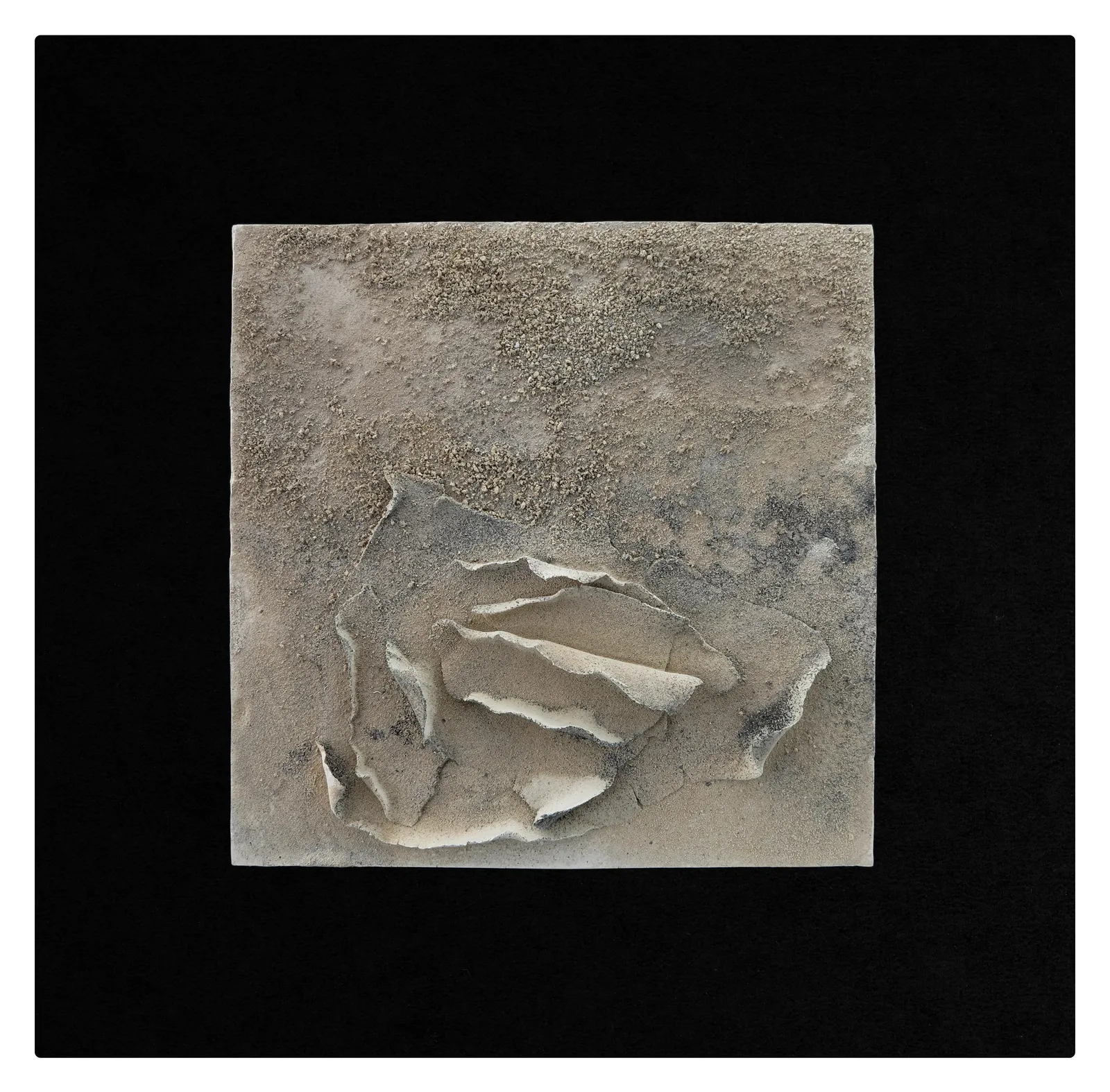 Ani Qananyan, İsimsiz / Untitled, 2016