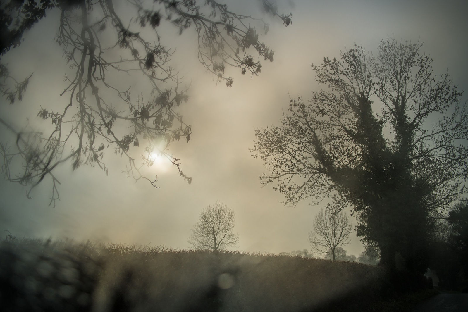 Todd Hido, 11927-6081, 2020.