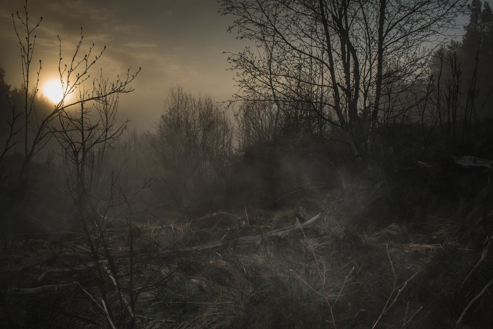 Todd Hido, 11798-4172, 2017.