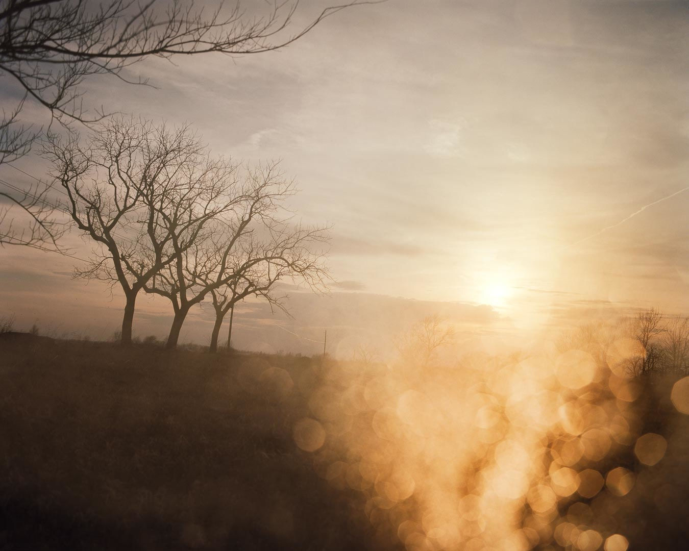 Todd Hido, 3114-b, 2002.
