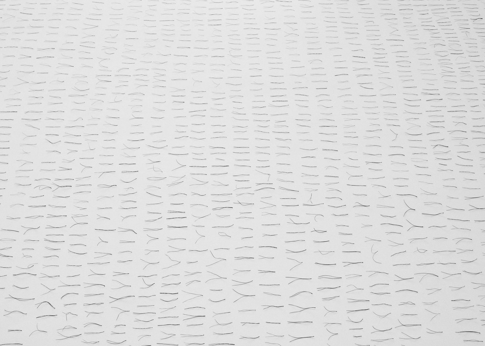 Txema Yeste, Needles, 2019-24.