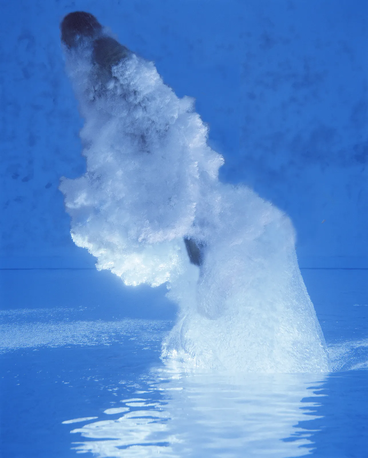 Joel Meyerowitz, The Elements: Air/Water 24 (Rising Diver - Male), 2007.