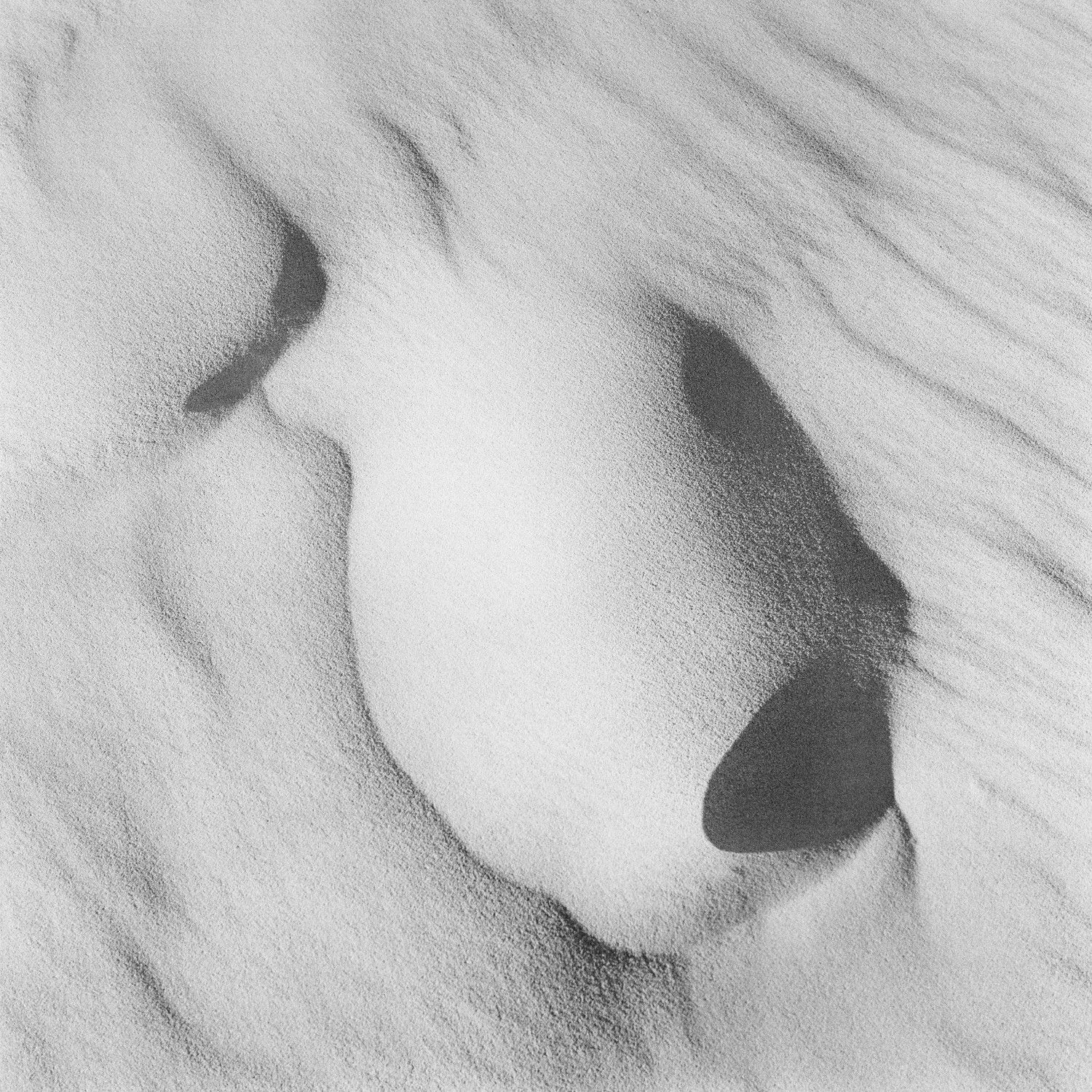 Pancho Saula, Sand Hills, 2017.