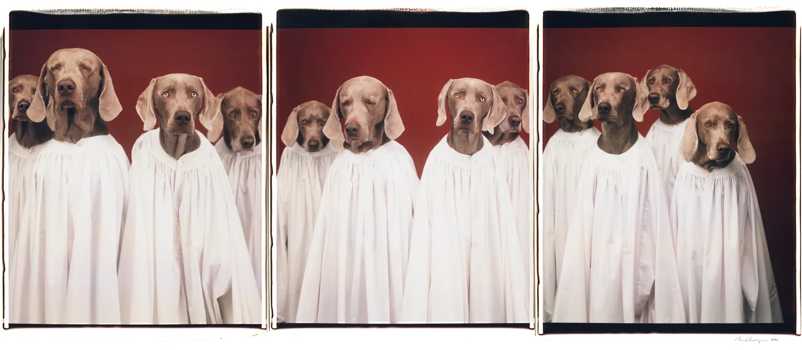 William Wegman, Choristers II, 2000.