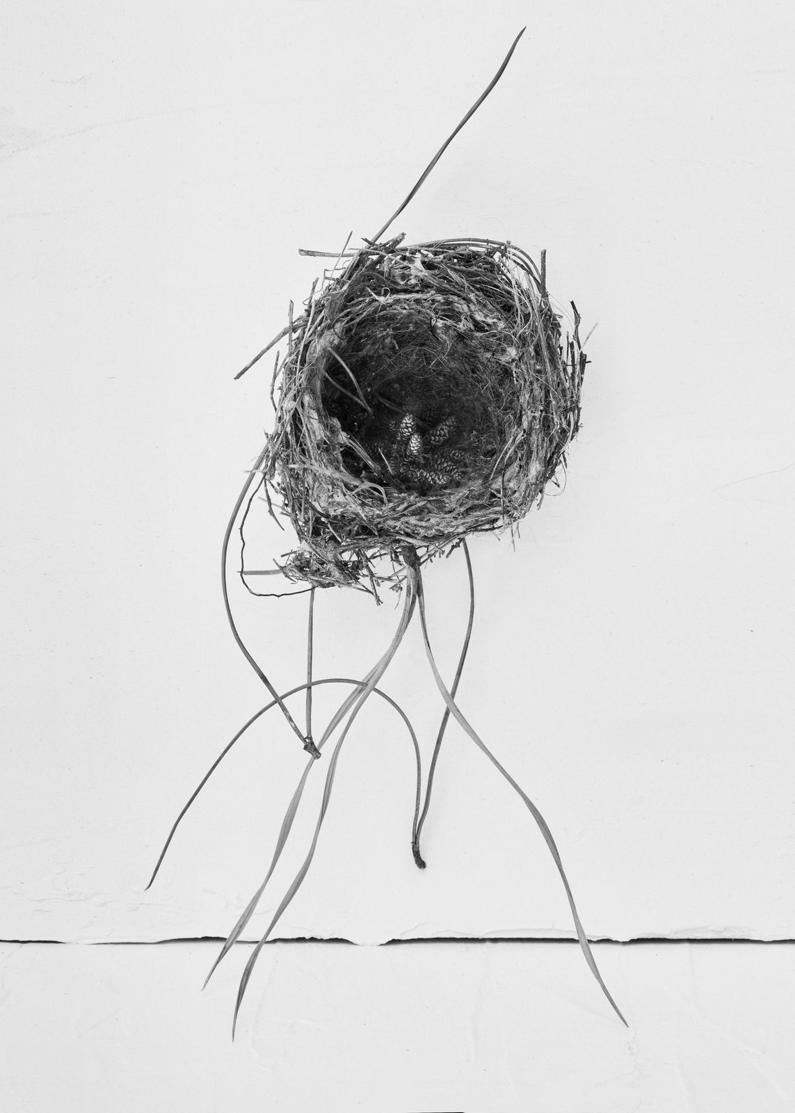 Txema Yeste, Needles, 2019-24.