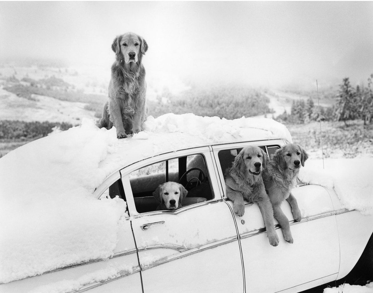 Bruce Weber, Summer Snowstorm, Little Bear Ranch, McLeod, MT, 1992.