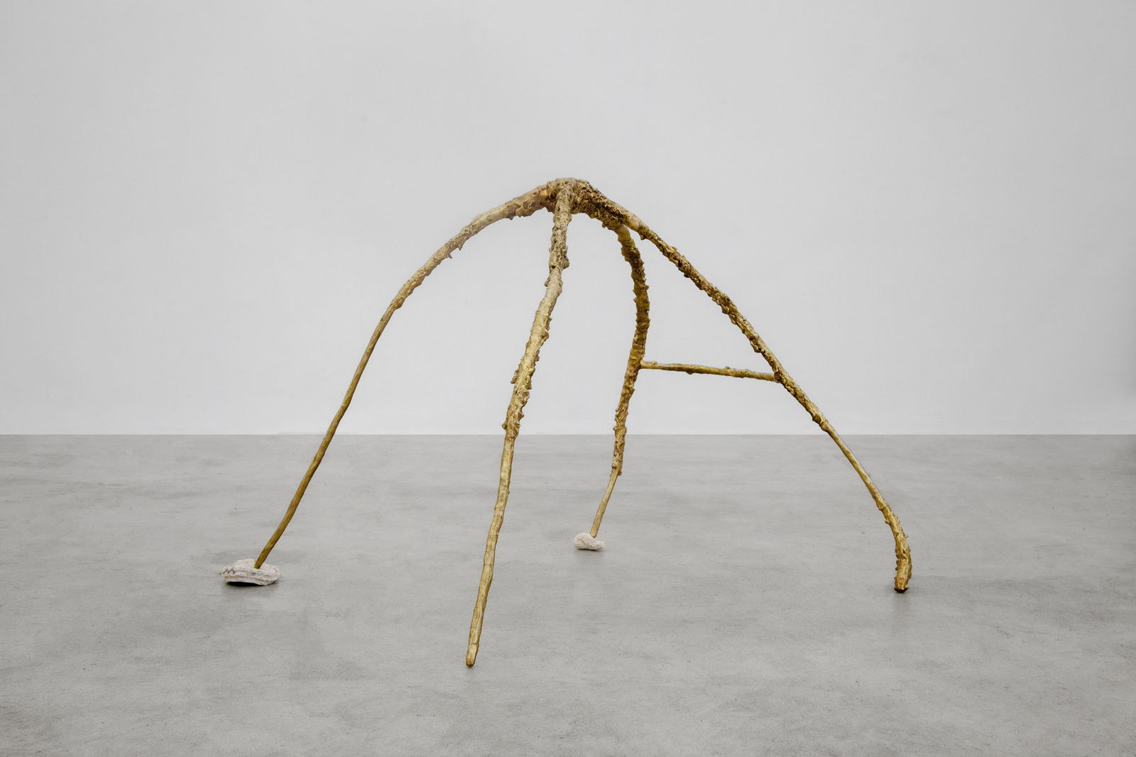 Jonas Arrabal, #1 (da série “Vertebrais”), 2026