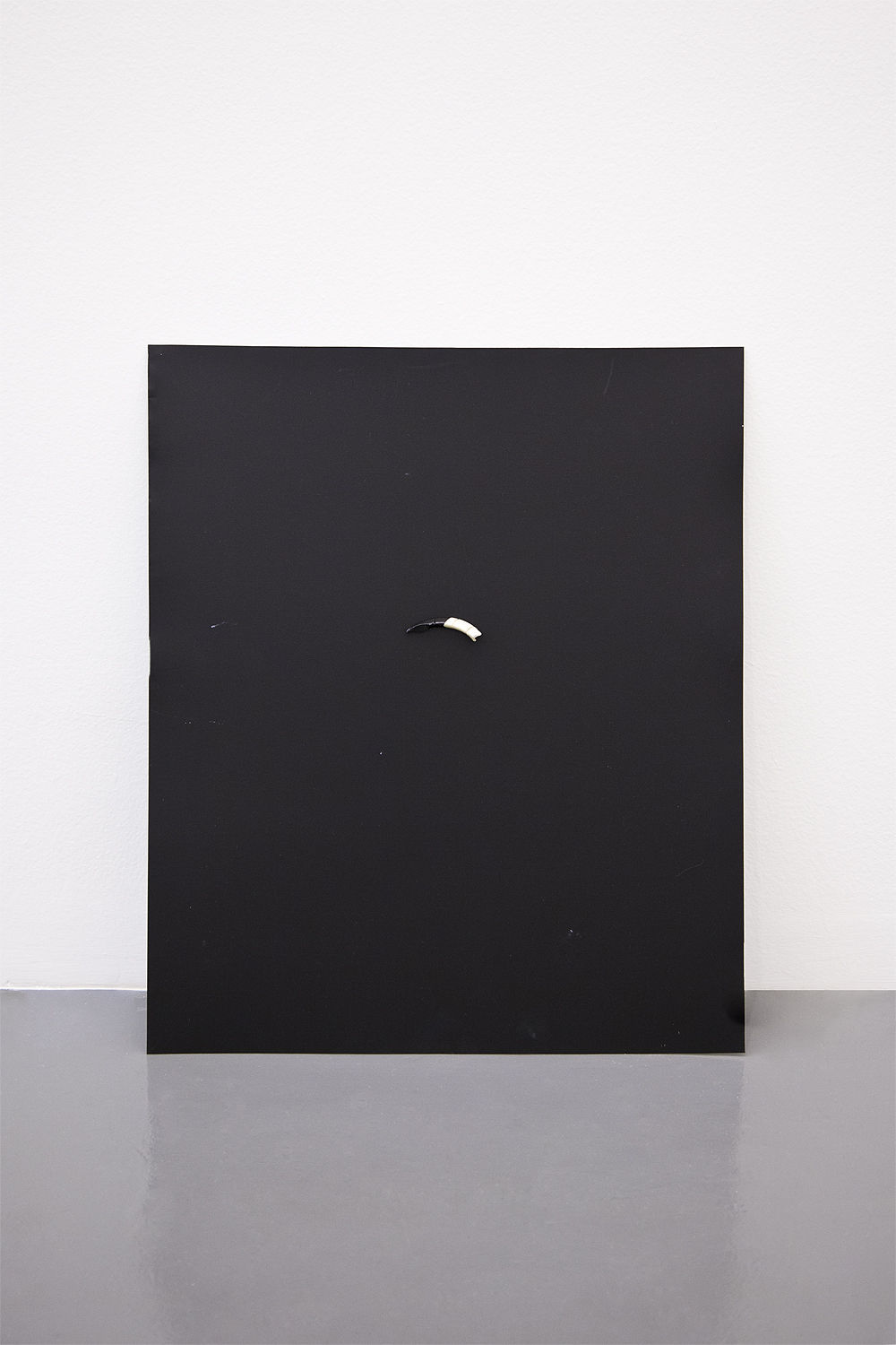 Frederico Filippi, Composição minimalista selvagem (Wild minimalist composition), 2016