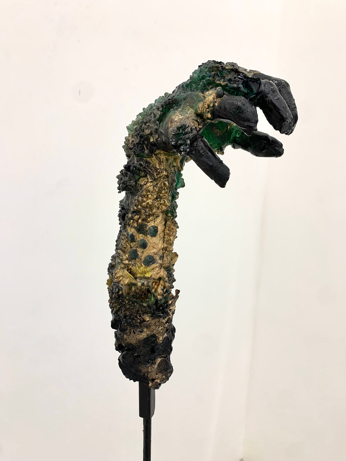 Darks Miranda, Eles vivem, 2022