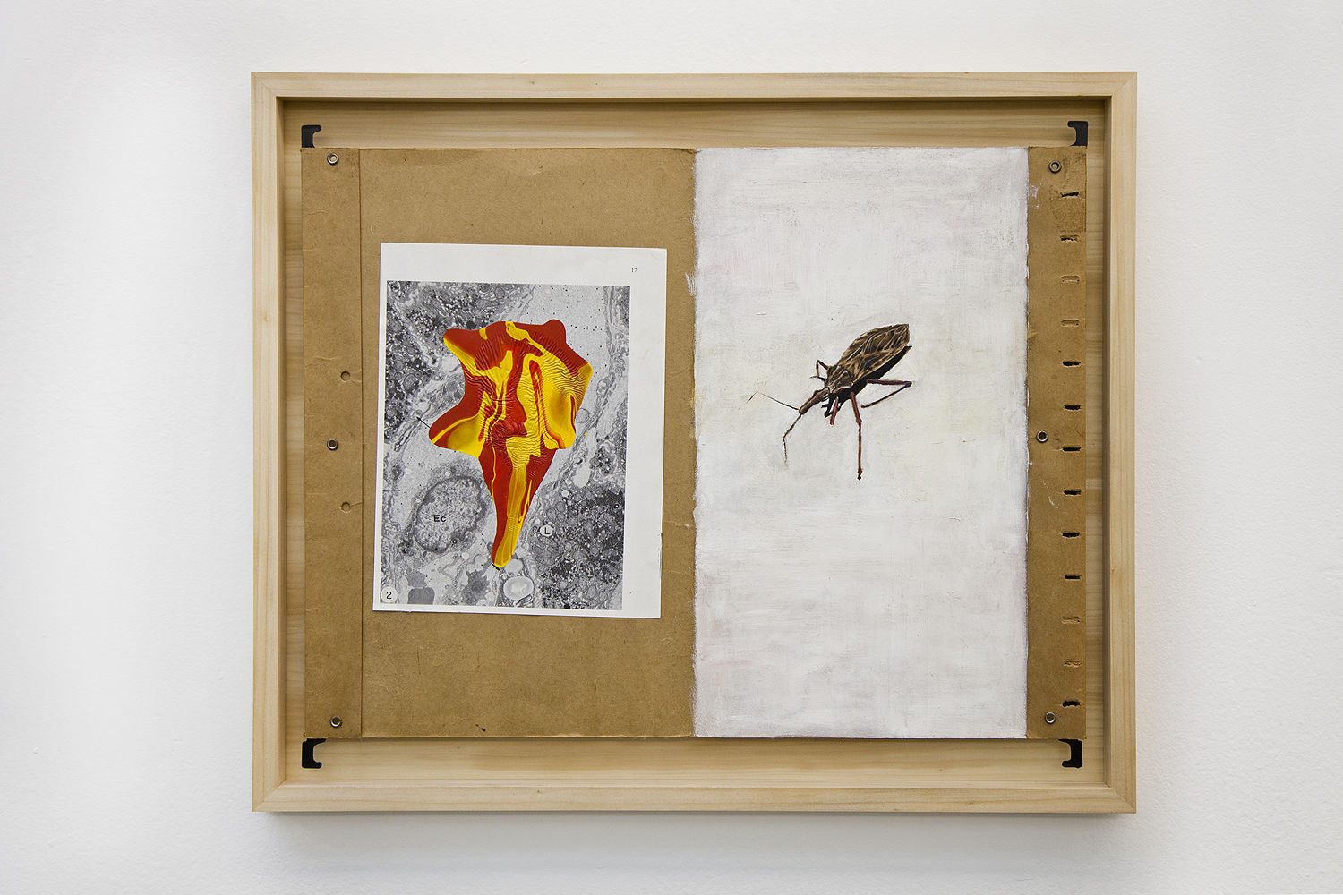 Frederico Filippi, Arquivo (File), 2016