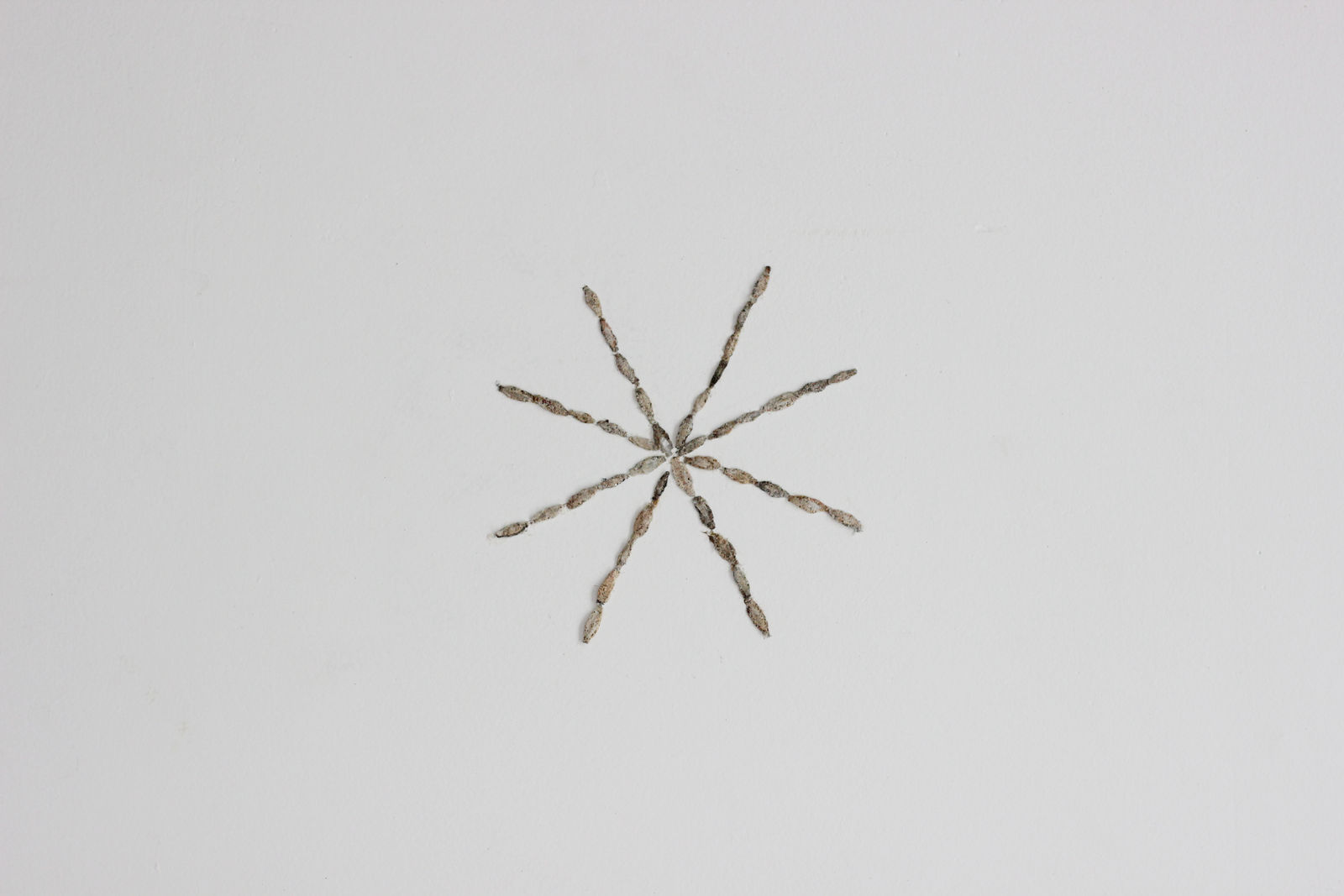 Daniel Frota de Abreu, Geração espontânea, 2022