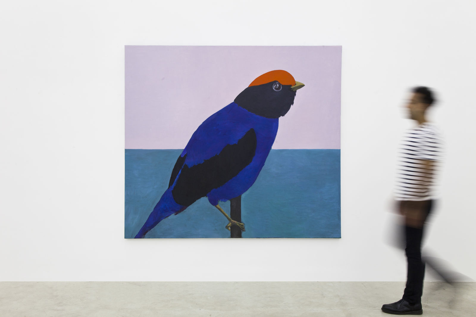 Rodrigo Bivar, Tangará, 2021