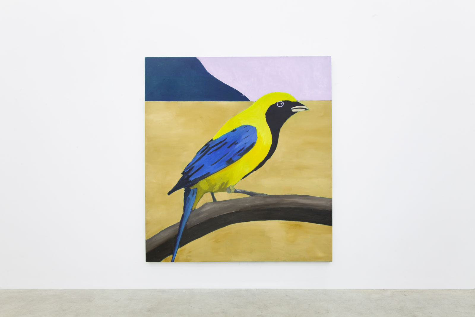 Rodrigo Bivar, Saíra amarela, 2021