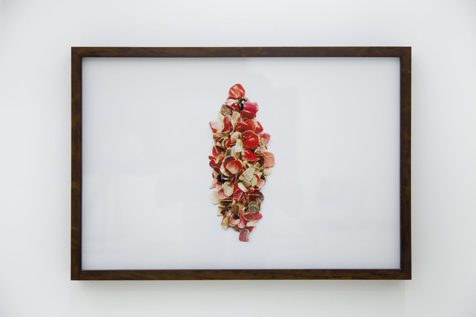 Joana Cesar, Rapina (Ravin), 2018