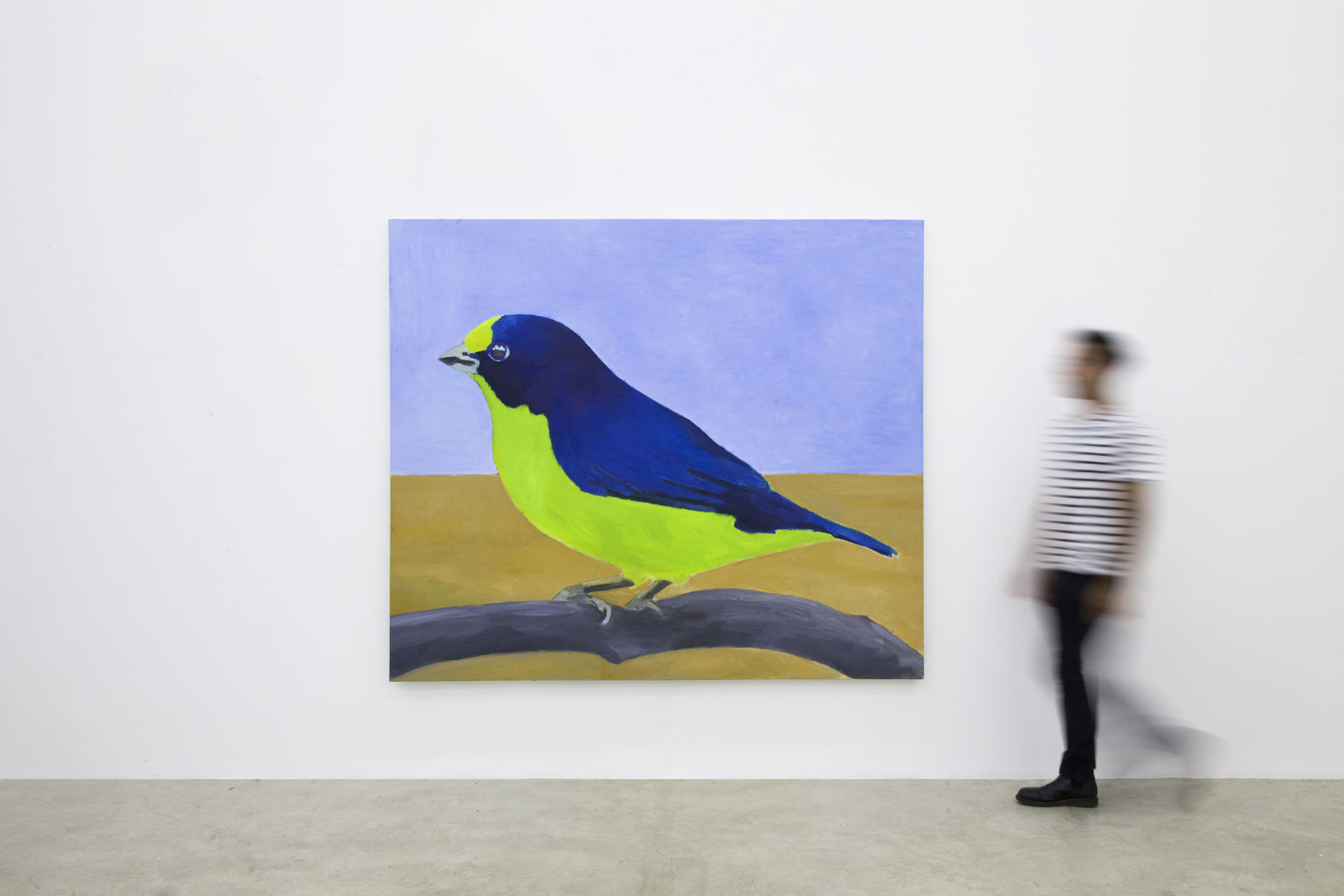 Rodrigo Bivar, Gaturamo, 2021