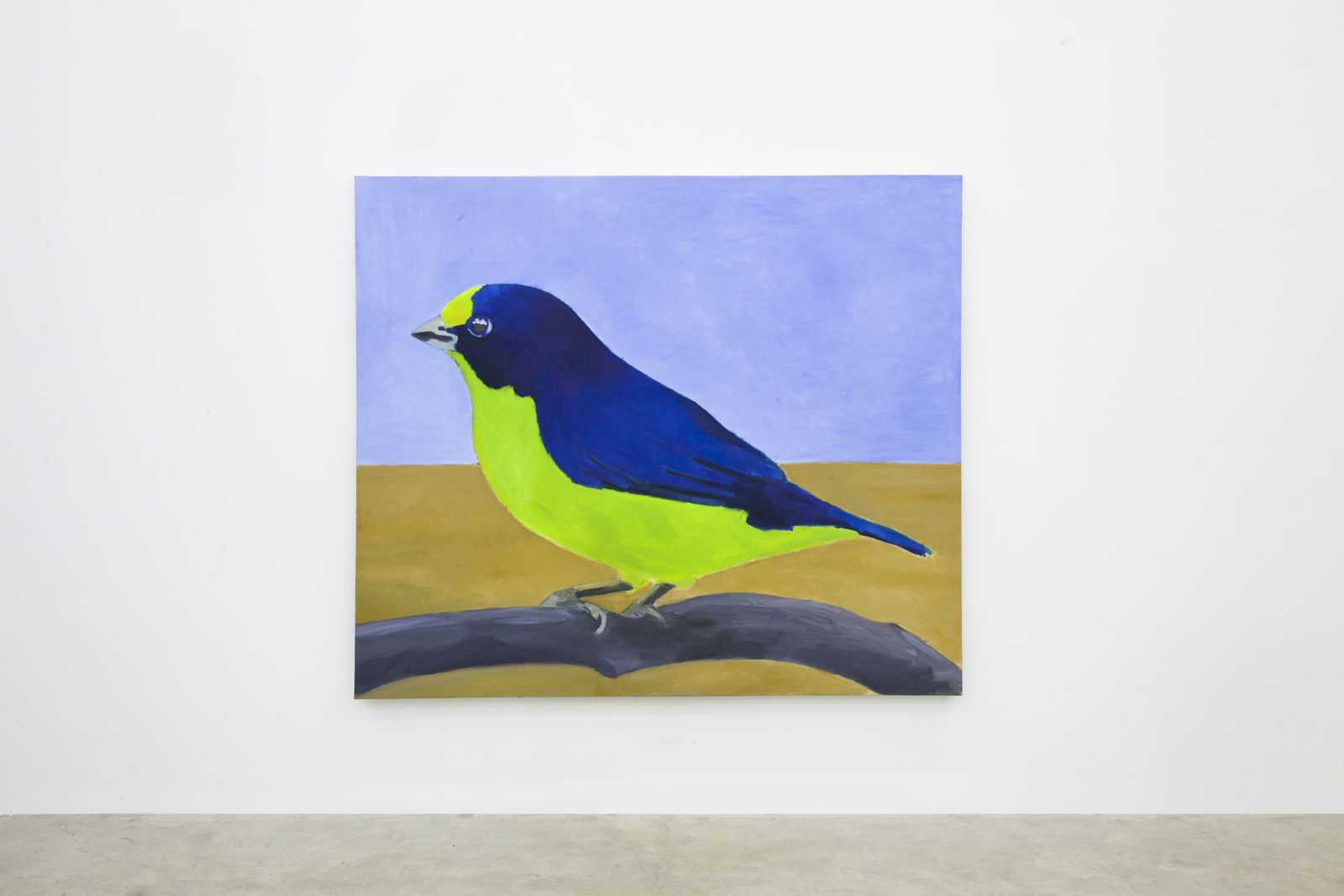 Rodrigo Bivar, Gaturamo, 2021