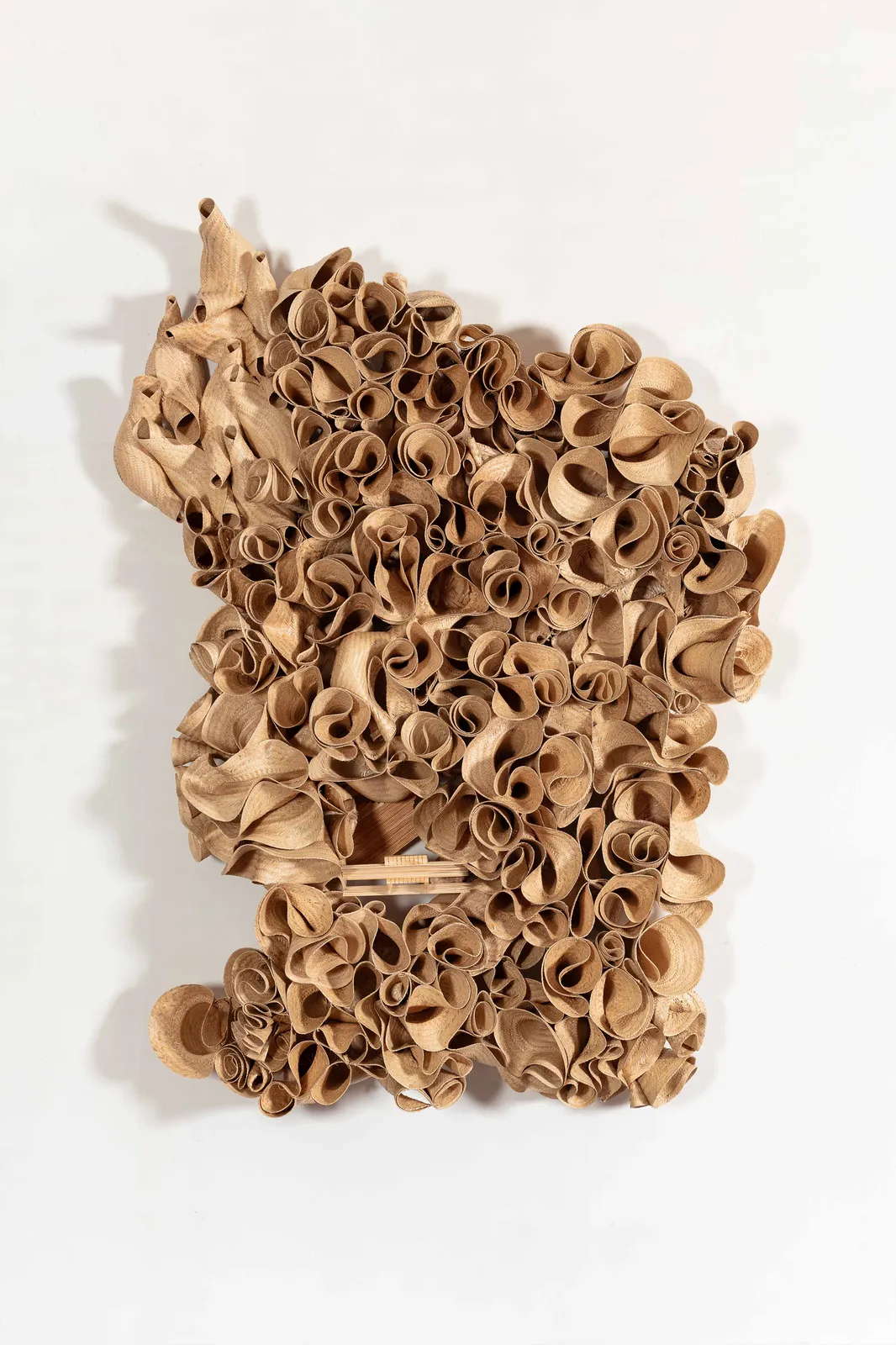 Laura Lima, Ninho comunal #14, 2026