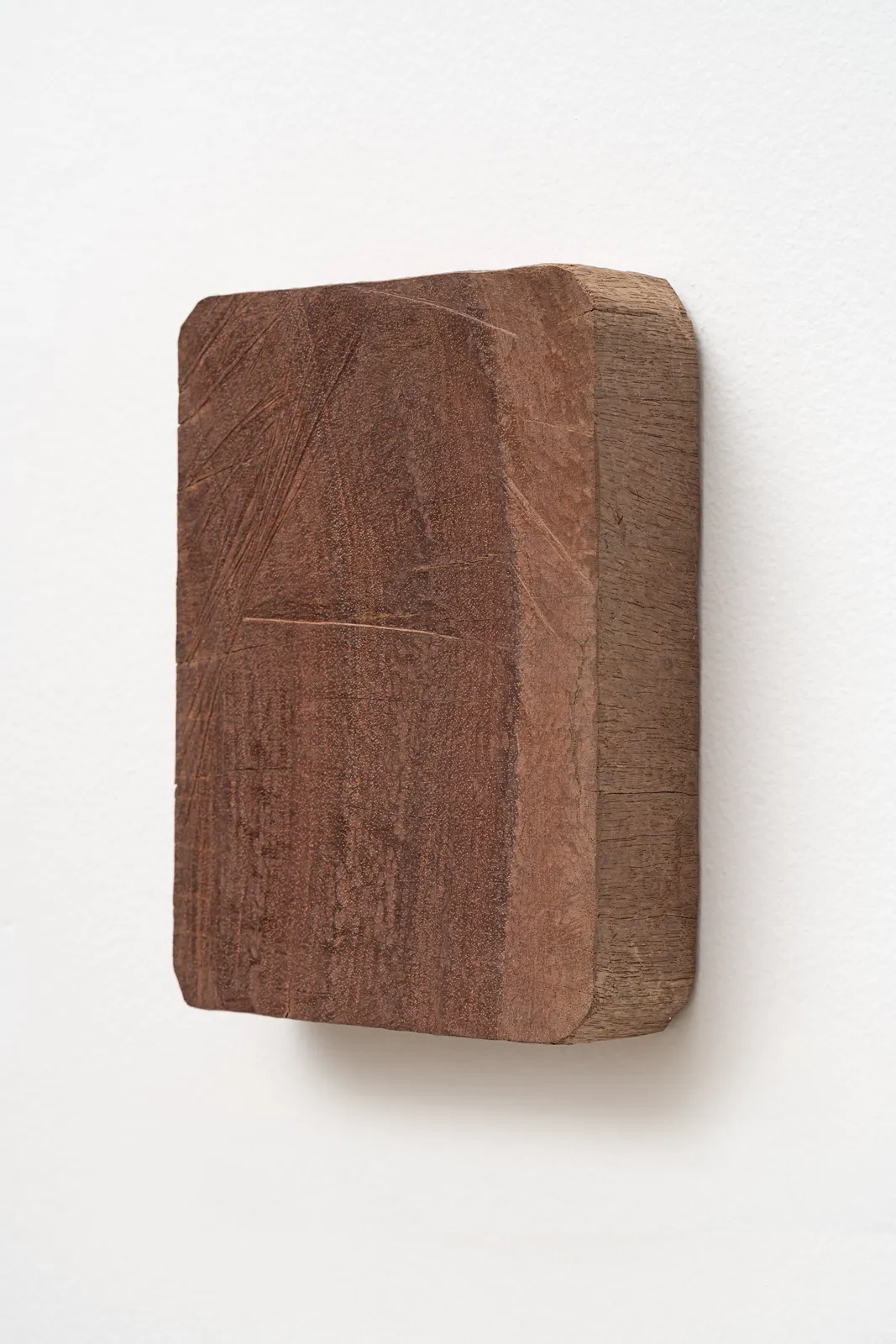 Tonico Lemos Auad, Cabeça de Búfalo / Cego, 2022