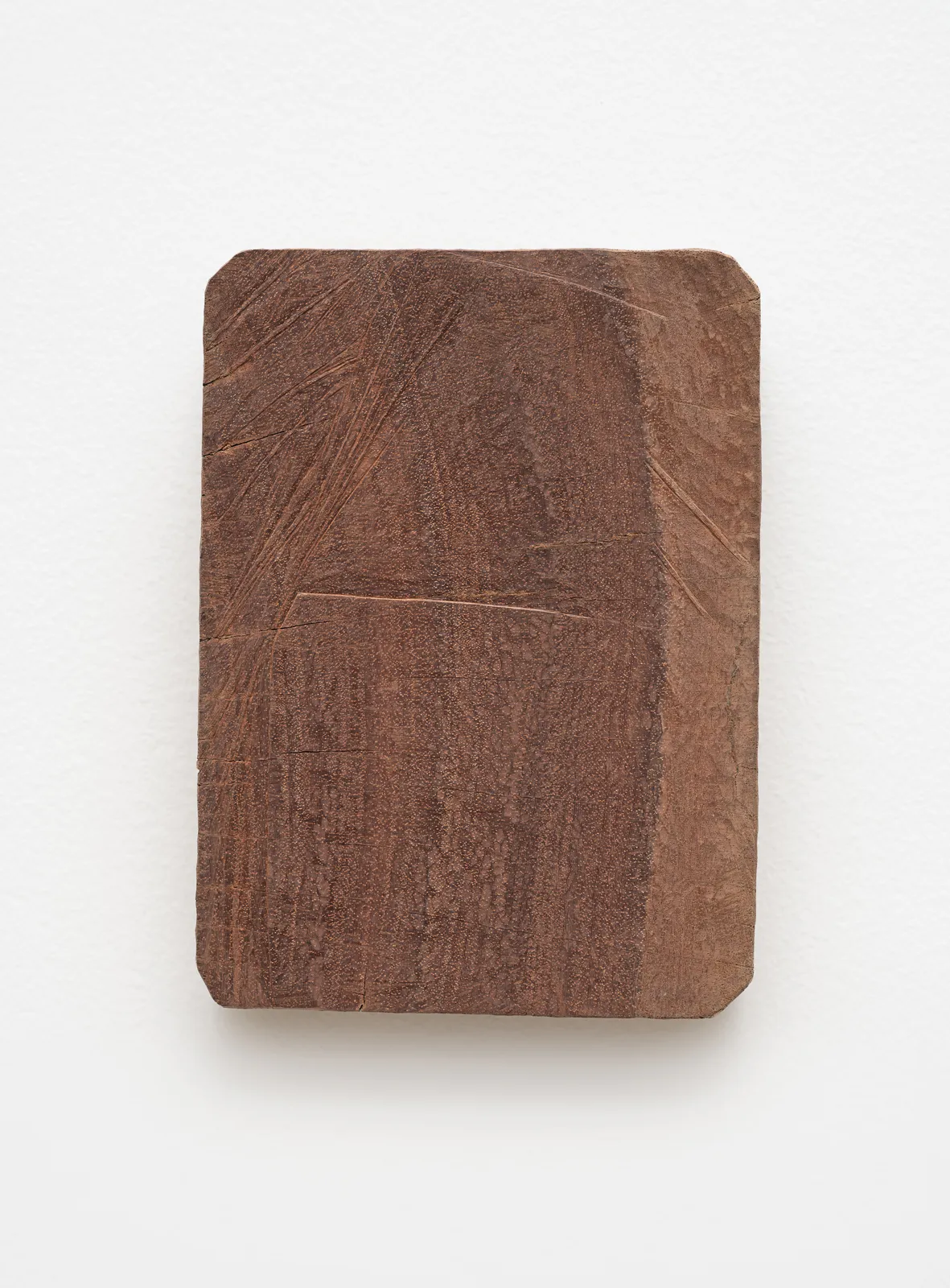 Tonico Lemos Auad, Cabeça de Búfalo / Cego, 2022