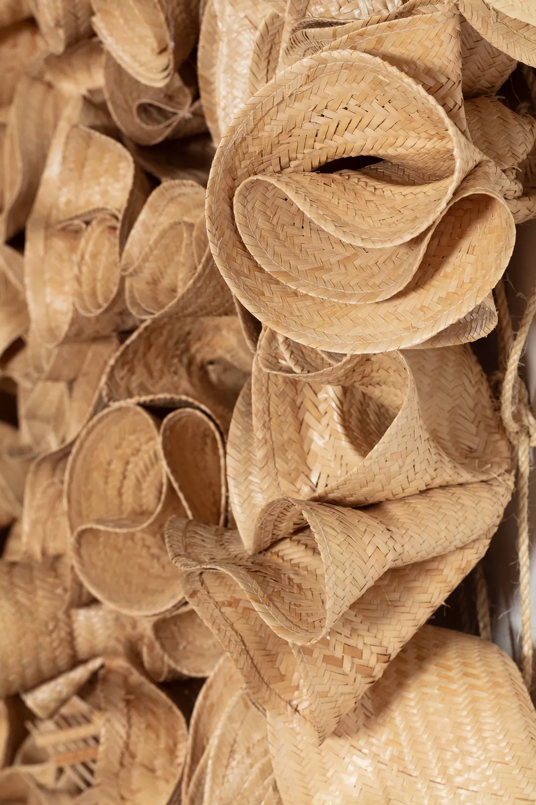 Laura Lima, Ninho comunal #14, 2026