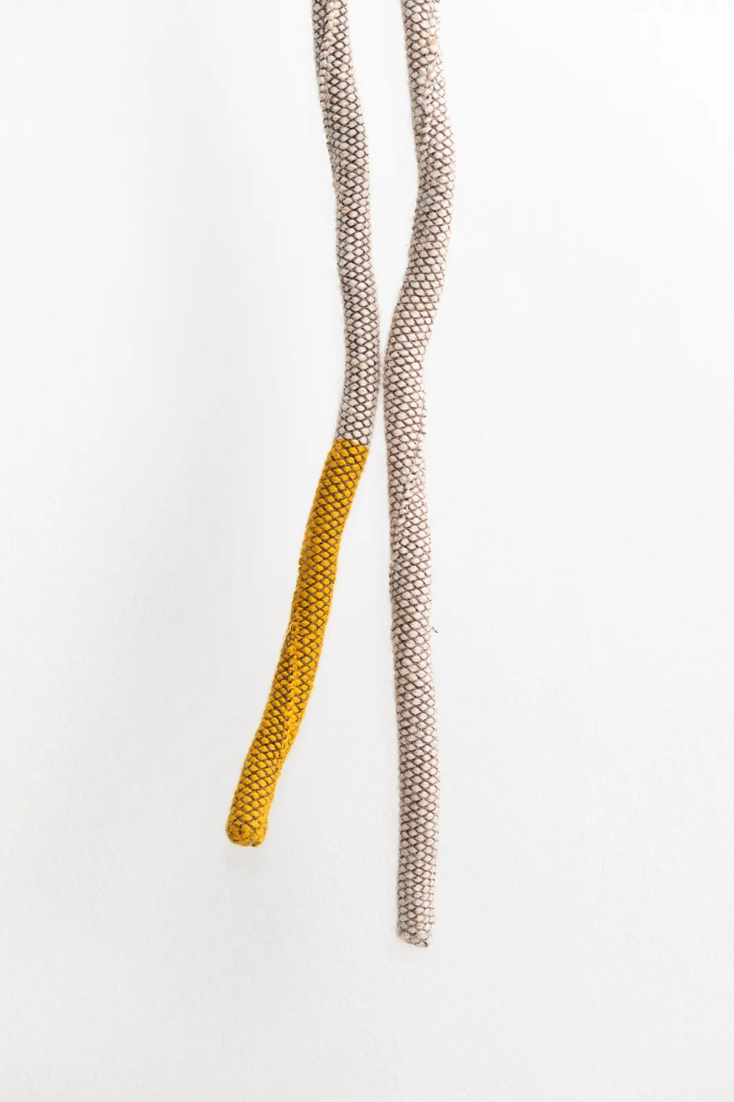 Tonico Lemos Auad, Jibóia Dourada, 2022